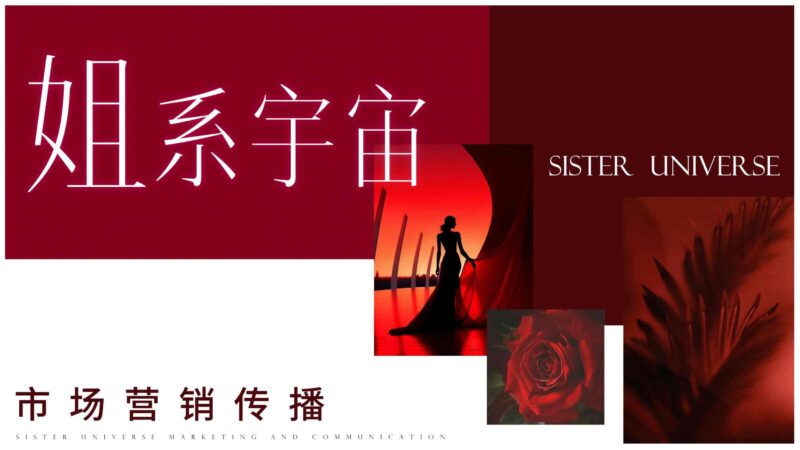 抖音【行业IP】内容直播综艺《姐系宇宙》招商方案-千文网