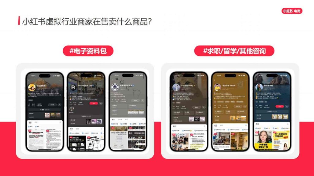 图片[8]-2025小红书虚拟行业经营一本通-千文网