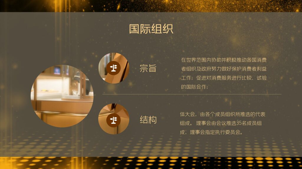 图片[13]-315国际消费者权益日PPT模板-千文网