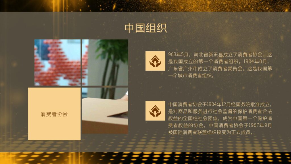 图片[14]-315国际消费者权益日PPT模板-千文网