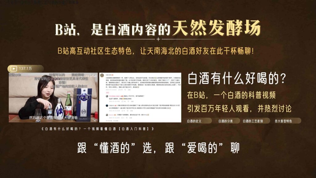 图片[41]-哔哩哔哩2025白酒行业营销通案-千文网