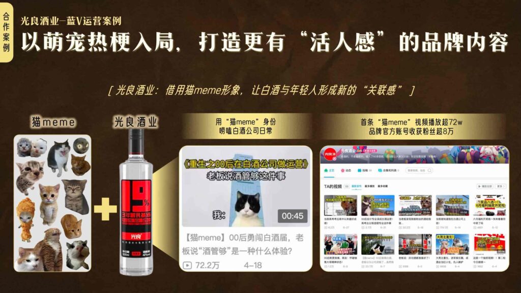 图片[43]-哔哩哔哩2025白酒行业营销通案-千文网