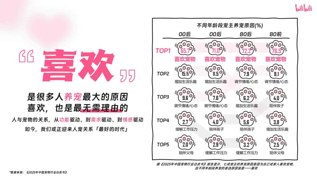 哔哩哔哩2025年宠物行业营销通案-千文网