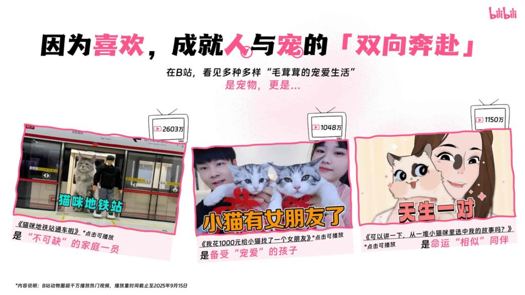 图片[2]-哔哩哔哩2025年宠物行业营销通案-千文网