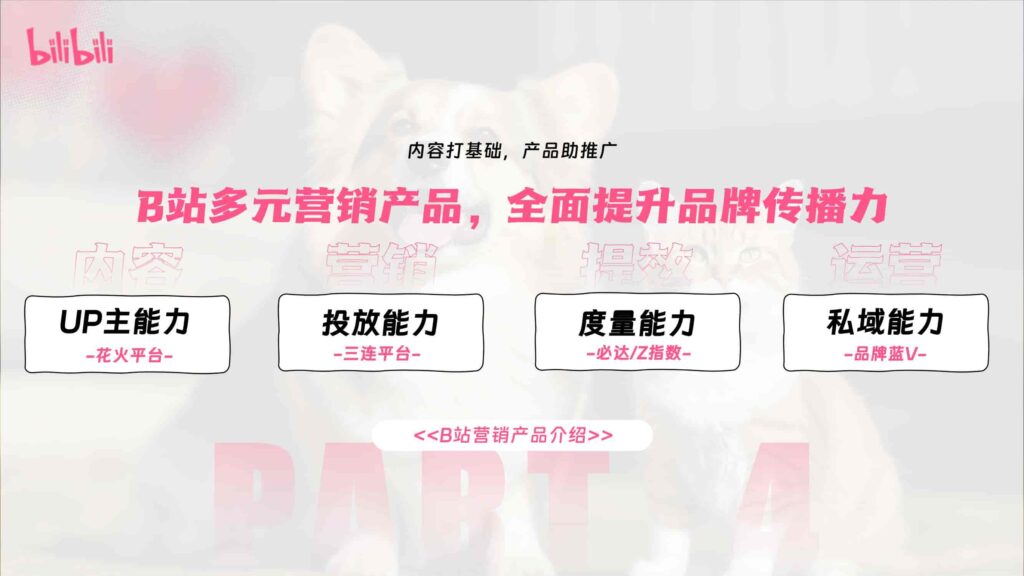 图片[50]-哔哩哔哩2025年宠物行业营销通案-千文网