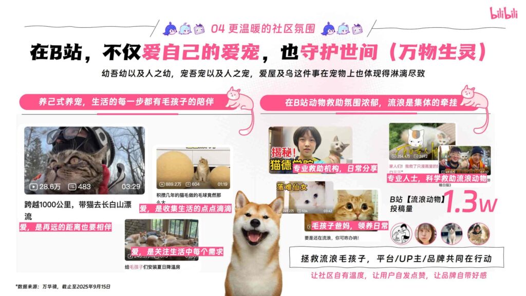 图片[16]-哔哩哔哩2025年宠物行业营销通案-千文网
