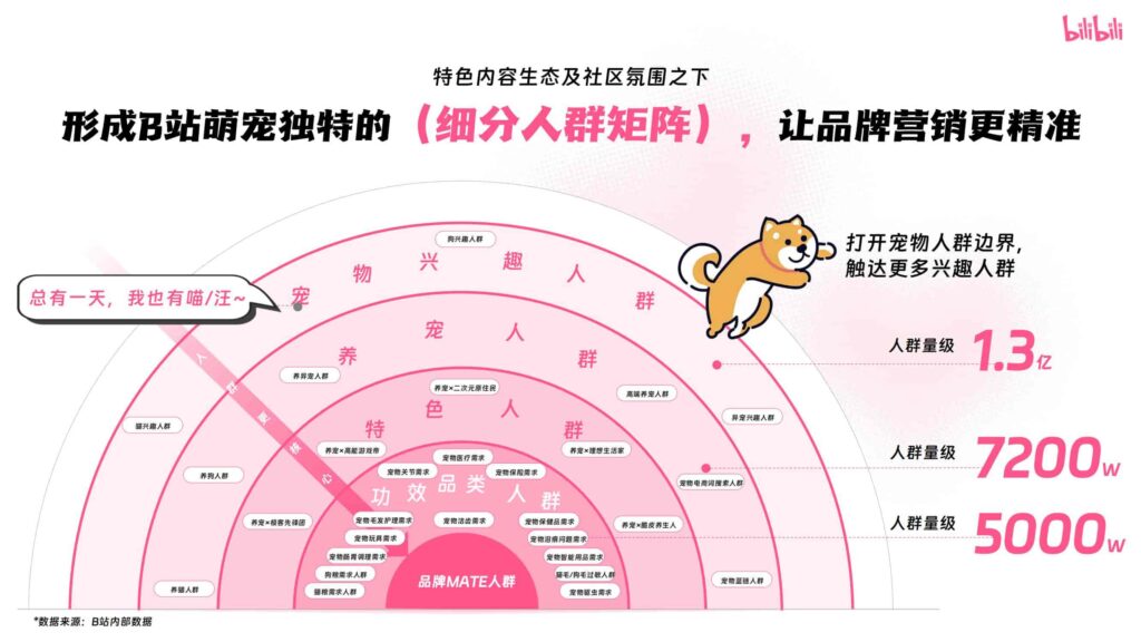 图片[11]-哔哩哔哩2025年宠物行业营销通案-千文网