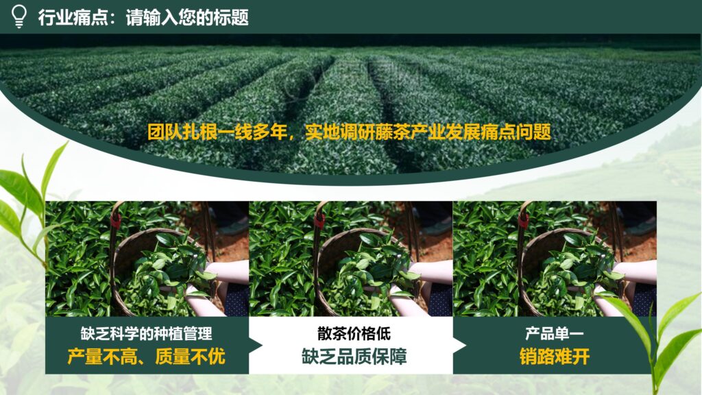 图片[3]-鄂西图“藤”：数字孪生技术打开恩施茶农致富密码PPT模板-千文网