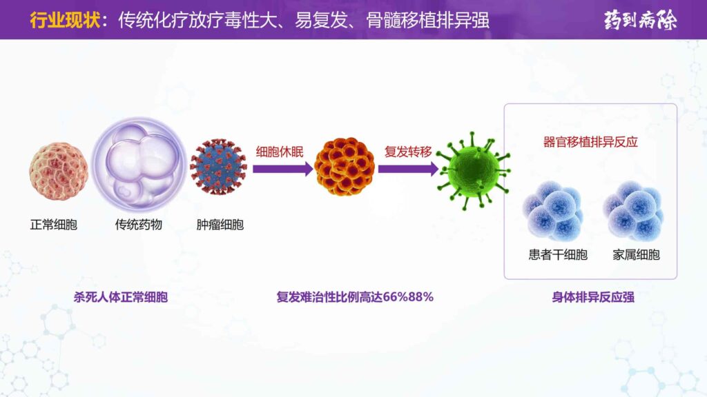 图片[5]-接单WX：llljcz-国内首创用于大学生创新创业比赛的PPT模板-千文网