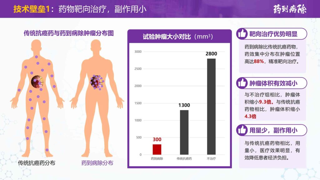 图片[10]-接单WX：llljcz-国内首创用于大学生创新创业比赛的PPT模板-千文网