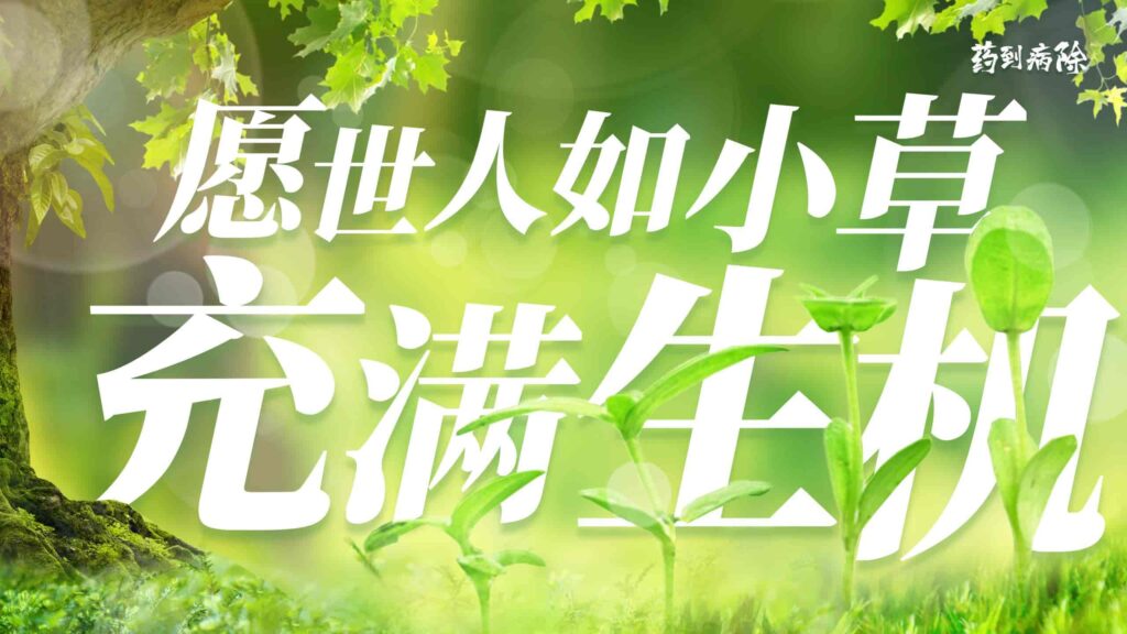 图片[29]-接单WX：llljcz-国内首创用于大学生创新创业比赛的PPT模板-千文网