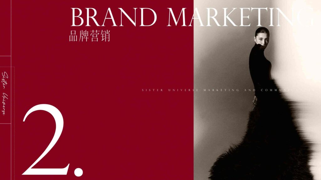 图片[78]-抖音【行业IP】内容直播综艺《姐系宇宙》招商方案-千文网