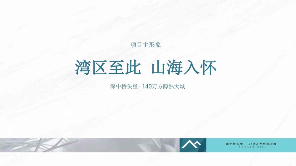 图片[42]-湾区地产品牌广告营销推广策略提报方案【概念包装】【品牌设计】-千文网