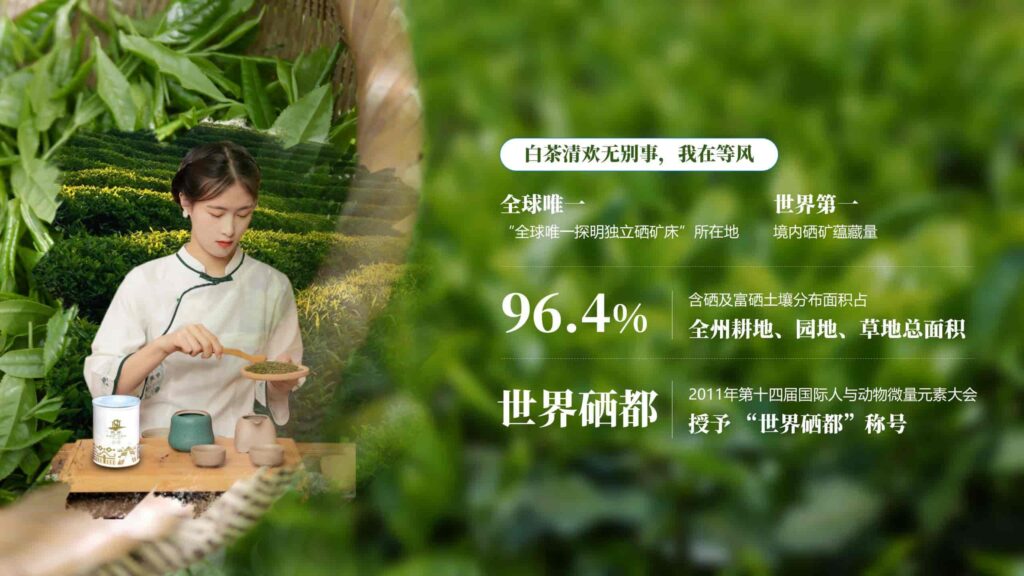 图片[9]-绿色茶配料与茶日化研发PPT模板-千文网