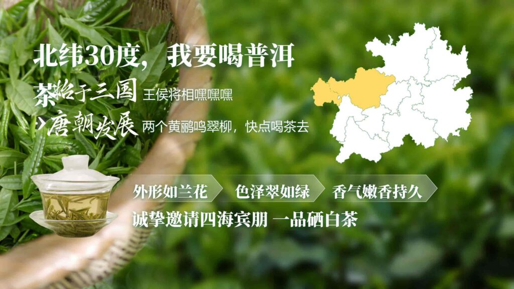 图片[10]-绿色茶配料与茶日化研发PPT模板-千文网