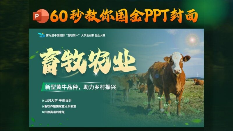 超好看好学，60秒教你国金PPT制作！-千文网