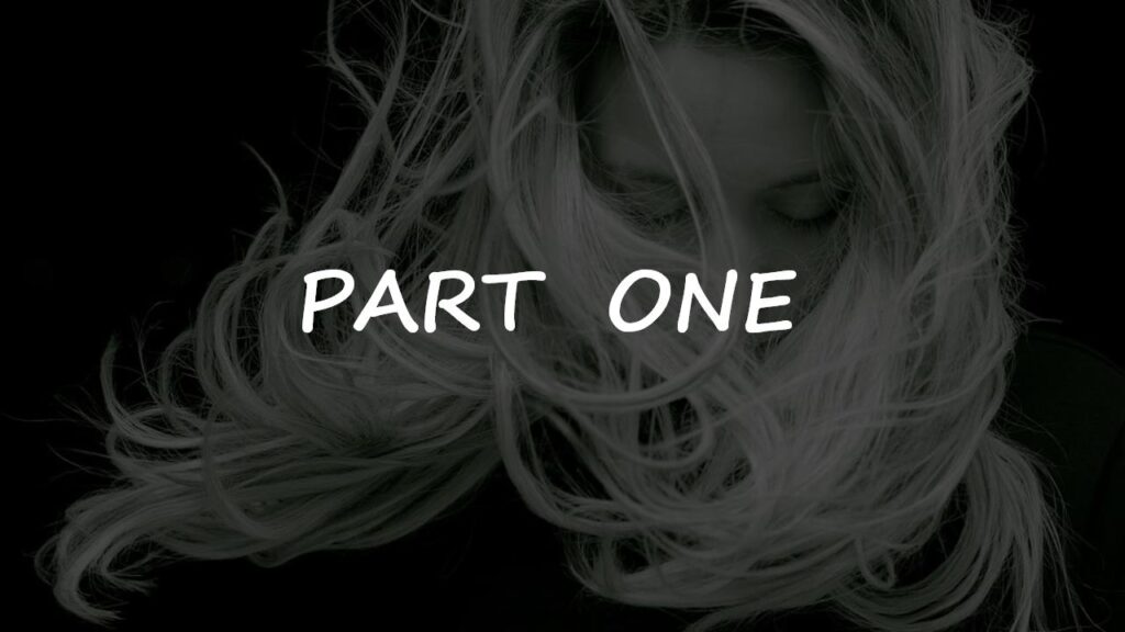 图片[3]-时尚欧美品牌发布会商务计划书PPT模板-千文网