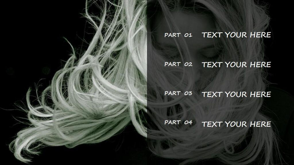 图片[2]-时尚欧美品牌发布会商务计划书PPT模板-千文网