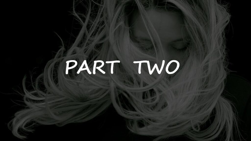 图片[13]-时尚欧美品牌发布会商务计划书PPT模板-千文网