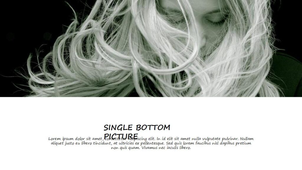 图片[11]-时尚欧美品牌发布会商务计划书PPT模板-千文网