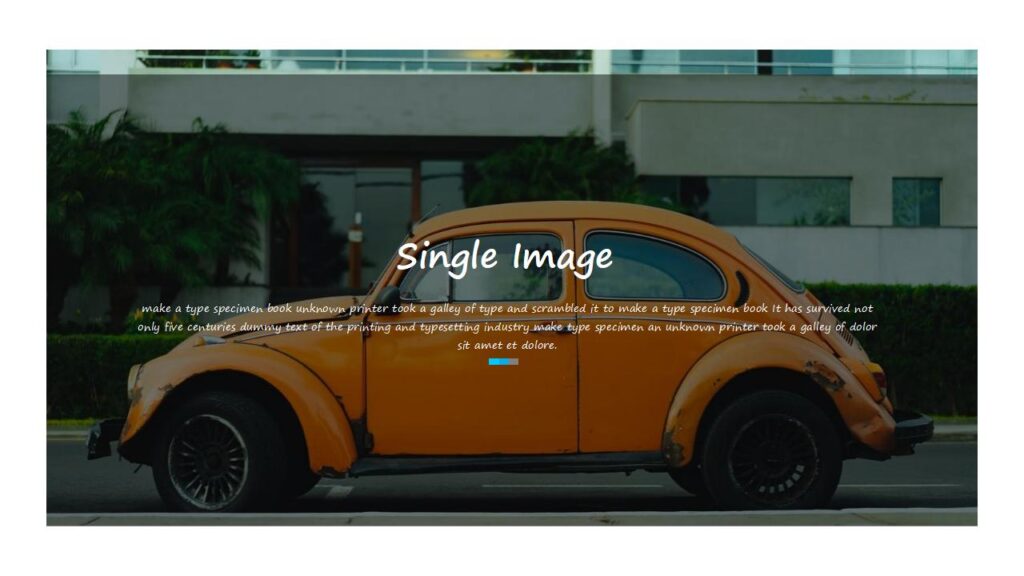 图片[15]-唯美欧美杂志风风景产品发布PPT模板-千文网