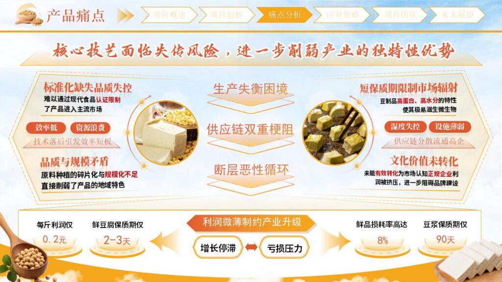 图片[7]-豆智乡耕国际创新大赛PPT模板-千文网